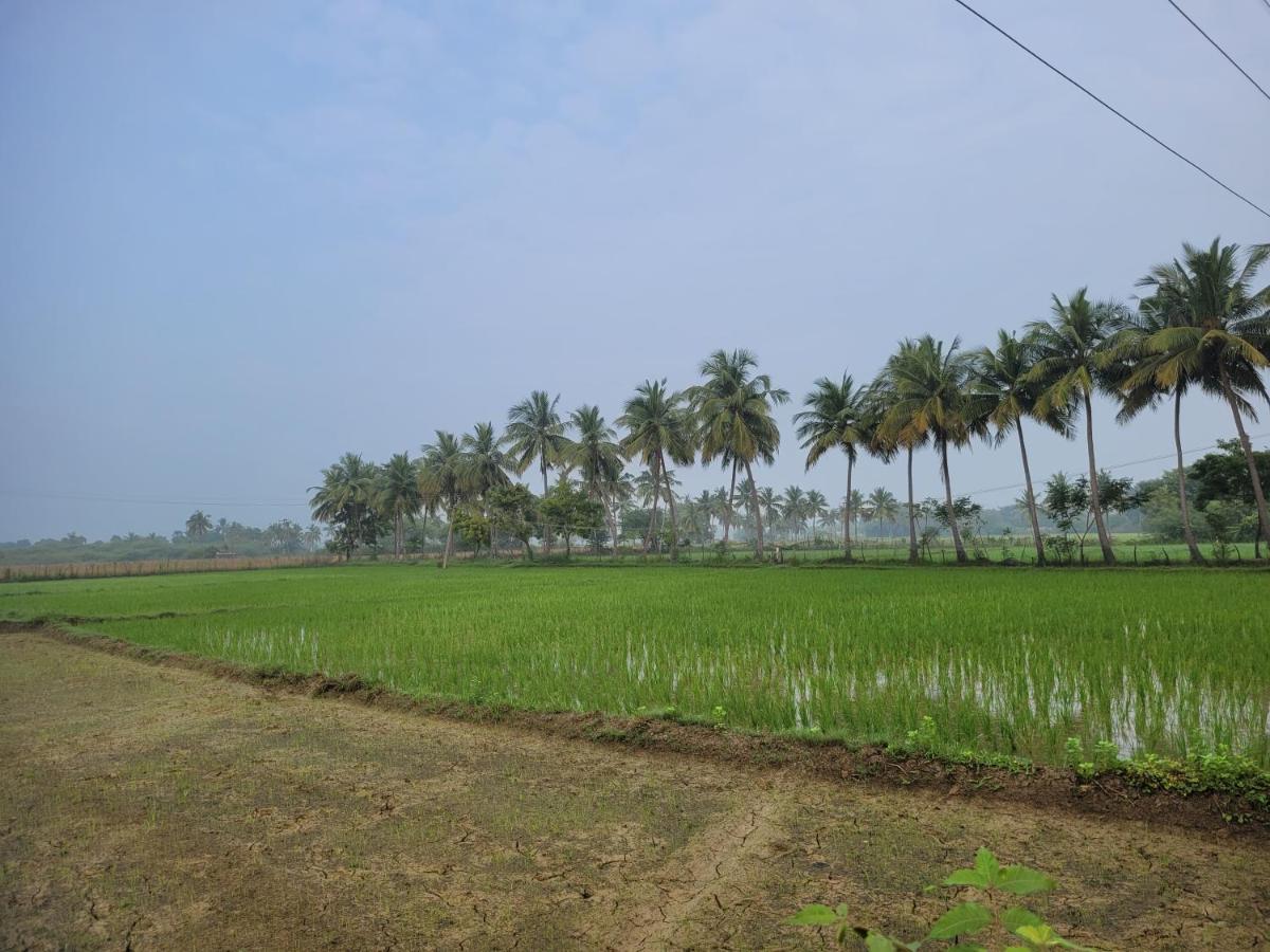 Tanjore Home Stay Thanjavur Extérieur photo