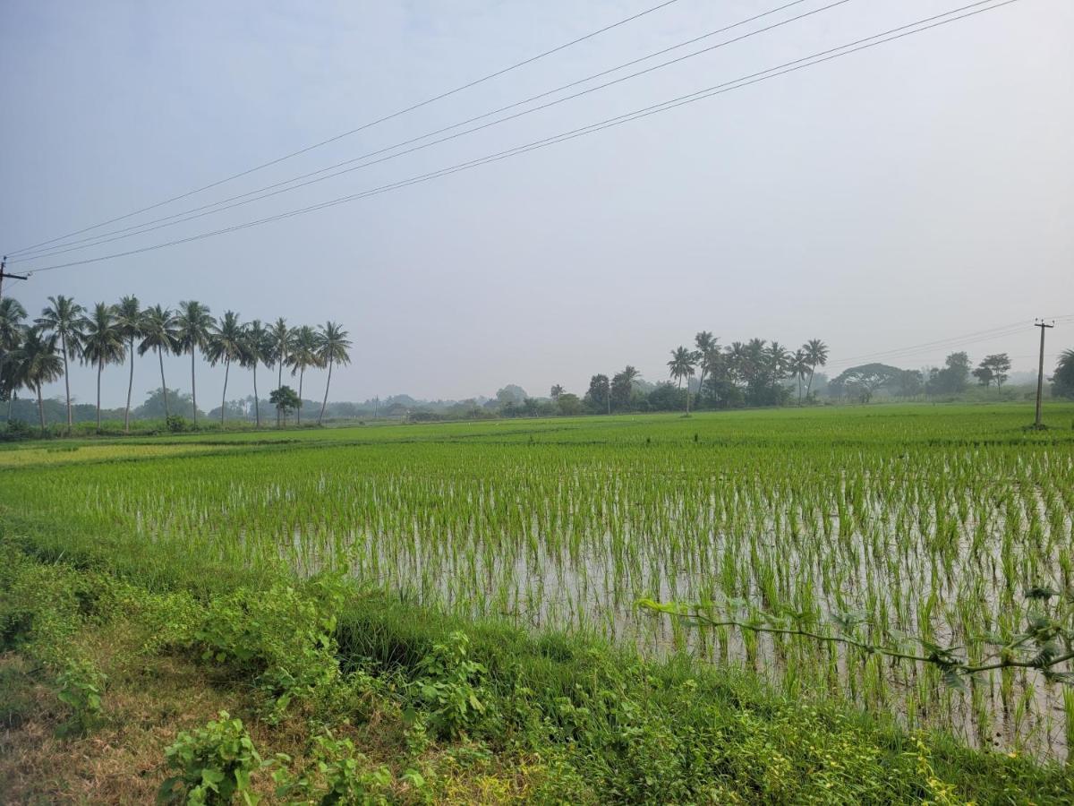 Tanjore Home Stay Thanjavur Extérieur photo