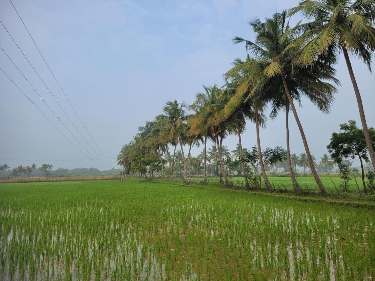 Tanjore Home Stay Thanjavur Extérieur photo