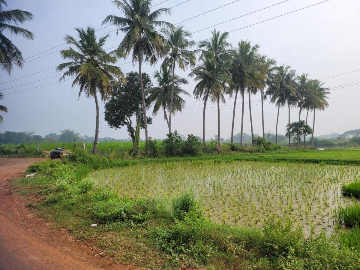 Tanjore Home Stay Thanjavur Extérieur photo